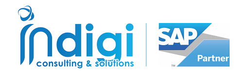 Indigi Consulting and Solutions Pvt Ltd